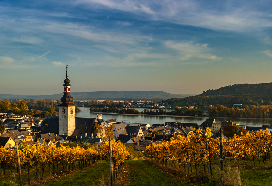 Wir wünschen Ihnen einen wunderbaren Aufenthalt in Rüdesheim am Rhein!