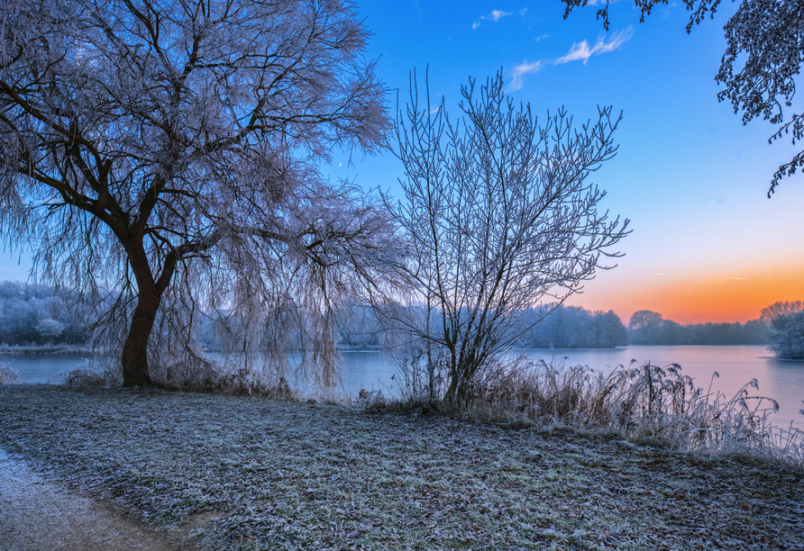 Die winterliche Landschaft an der Elbtalaue versprüht eine magische Atmosphäre.