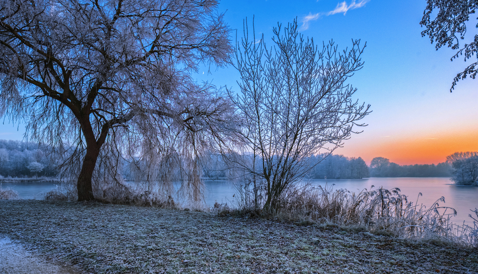 Die winterliche Landschaft an der Elbtalaue versprüht eine magische Atmosphäre.