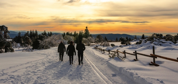 Genießen Sie die Ruhe des Winters auf einer Wanderung durch die verschneiten Landschaften und Wälder.
