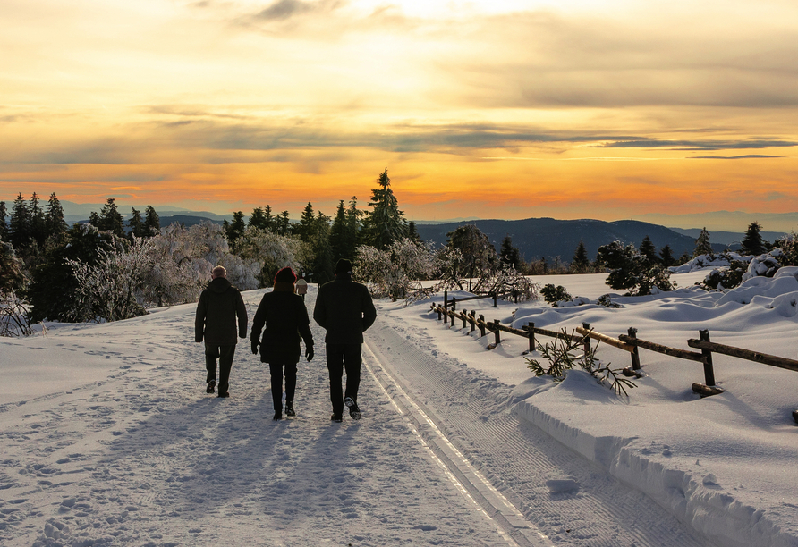 Genießen Sie die Ruhe des Winters auf einer Wanderung durch die verschneiten Landschaften und Wälder.