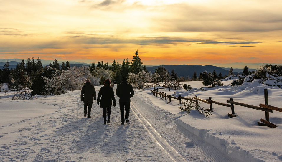 Genießen Sie die Ruhe des Winters auf einer Wanderung durch die verschneiten Landschaften und Wälder.