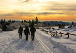 Genießen Sie die Ruhe des Winters auf einer Wanderung durch die verschneiten Landschaften und Wälder.
