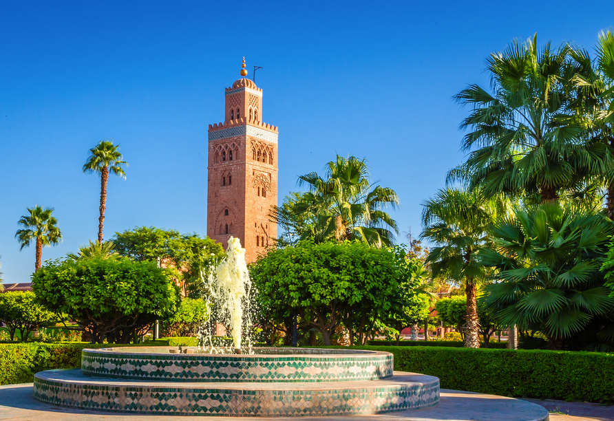 Die Koutoubia-Moschee liegt inmitten eines wunderschönen Palmengartens in Marrakesch.