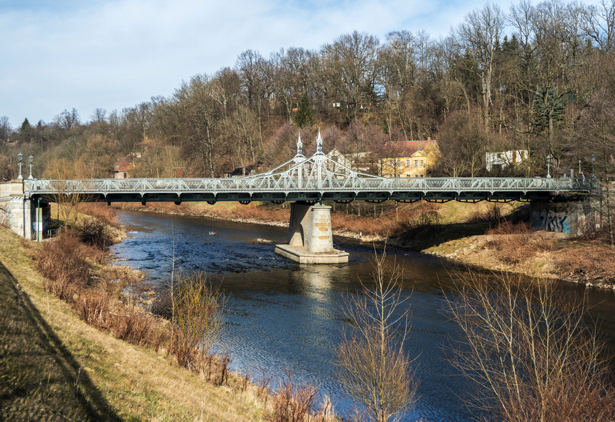 Der Fluss Zwickauer Mulde führt direkt an der Stadt vorbei.