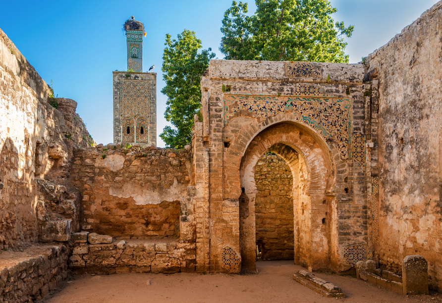 Die Chellah Nekropole in Rabat – ein Ort, an dem Geschichte und Natur auf einzigartige Weise verschmelzen.