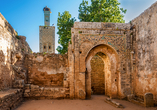 Die Chellah Nekropole in Rabat – ein Ort, an dem Geschichte und Natur auf einzigartige Weise verschmelzen.