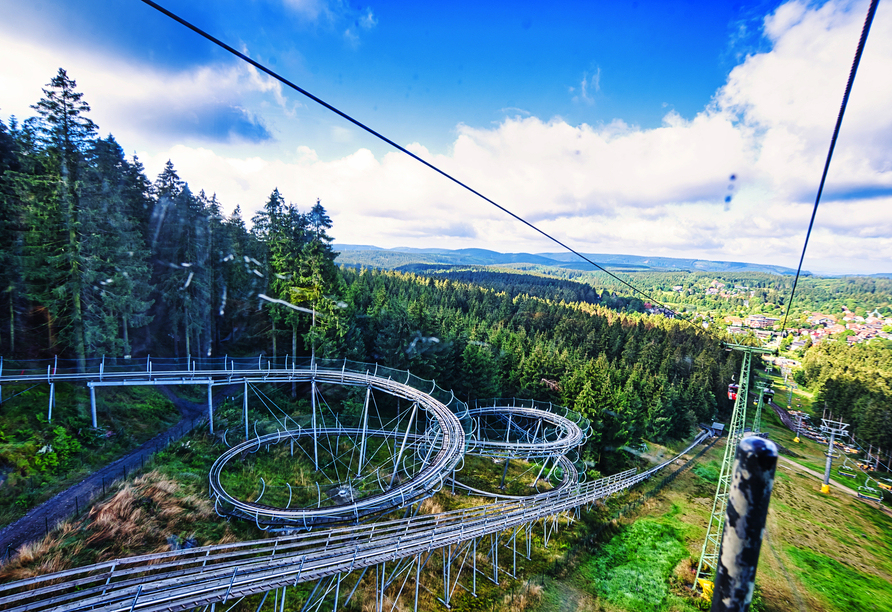 Der ErlebnisBocksBerg ist nur wenige Gehminuten von Ihrer Hotelanlage entfernt.