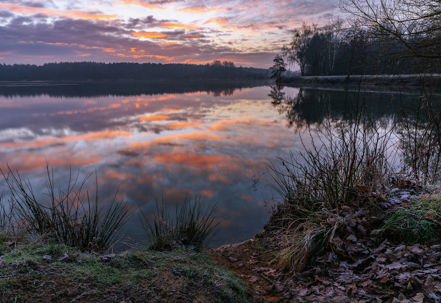 Der Haselünner See eignet sich perfekt für einen Winter-Spaziergang.