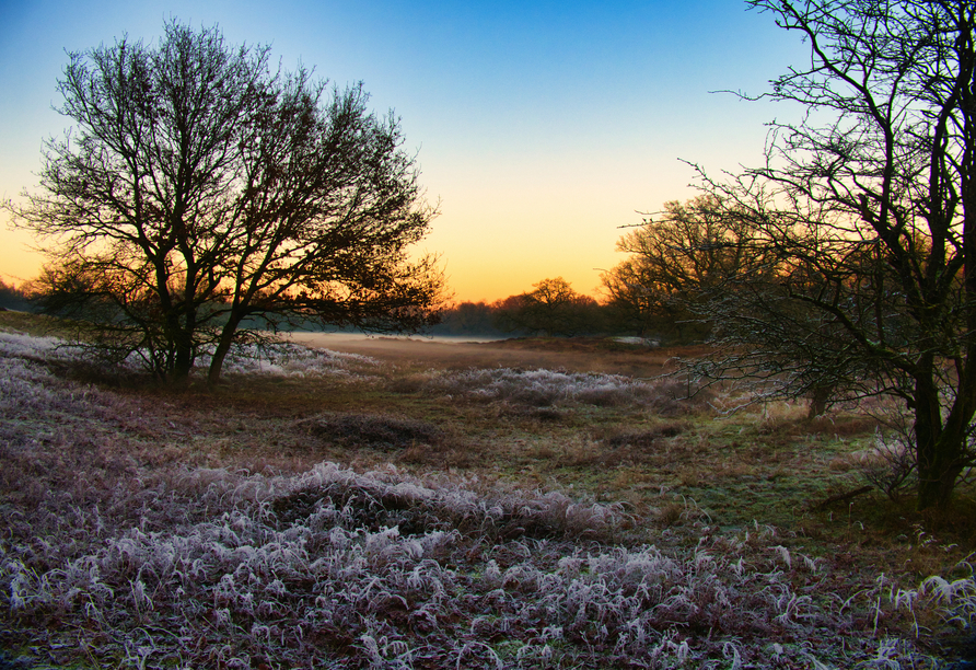 Erleben Sie das Emsland mit weiten Landschaften und winterlicher Ruhe.