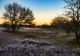 Erleben Sie das Emsland mit weiten Landschaften und winterlicher Ruhe.