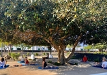 Entspannen Sie beim Yoga im Garten des Hotels.