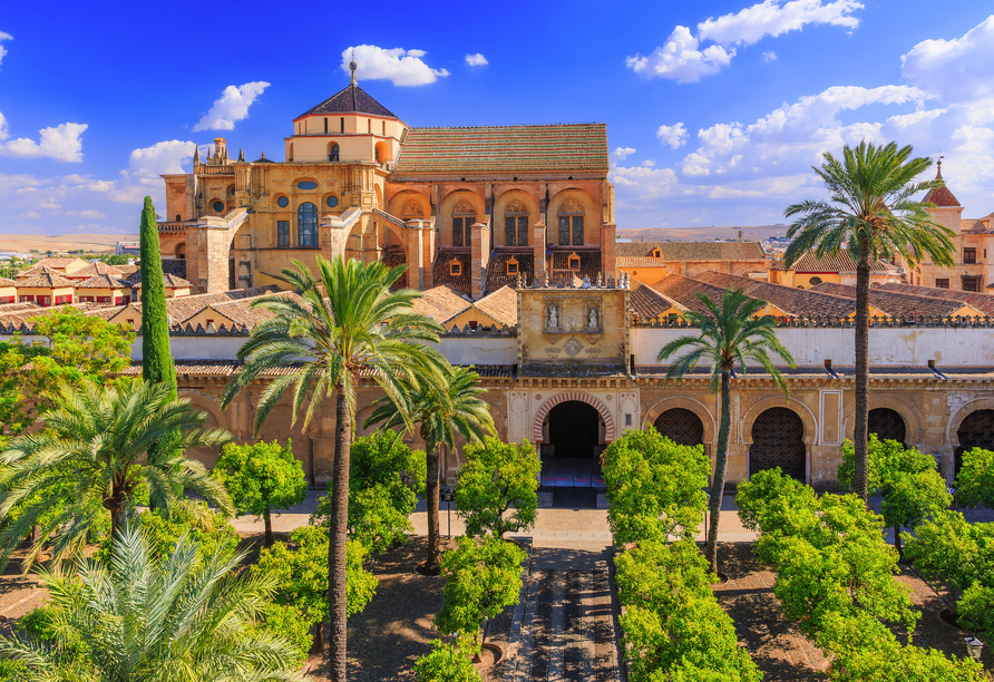 Die Mezquita von Córdoba wird Sie mit ihrer einzigartigen Mischung aus Moschee und Kathedrale verzaubern.