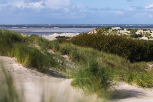 Überlassen Sie die Hotelwahl dem Zufall und erleben Sie einen unvergesslichen Urlaub auf Borkum!