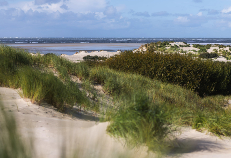 Überlassen Sie die Hotelwahl dem Zufall und erleben Sie einen unvergesslichen Urlaub auf Borkum!