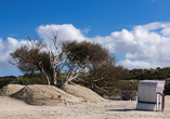 Lassen Sie sich in einem der traditionellen Strandkörbe nieder.