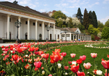 Schlendern Sie durch den Kurgarten zwischen Blumenbeeten und klassischer Architektur.