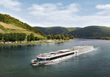 Kommen Sie an Bord der A-ROSA SILVA und genießen Sie Ihre Rheinfahrt.