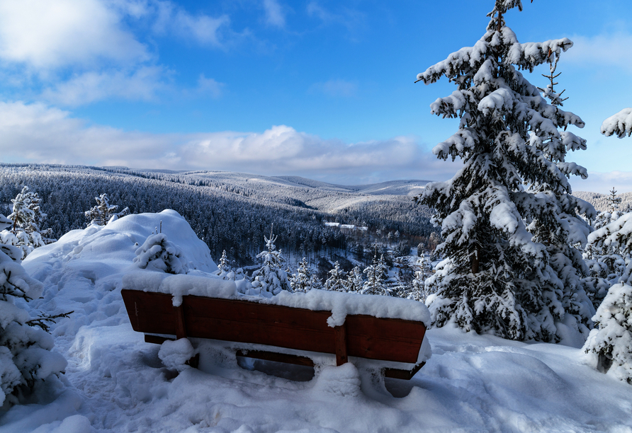 Der Winter im Thüringer Wald ist einfach traumhaft schön.