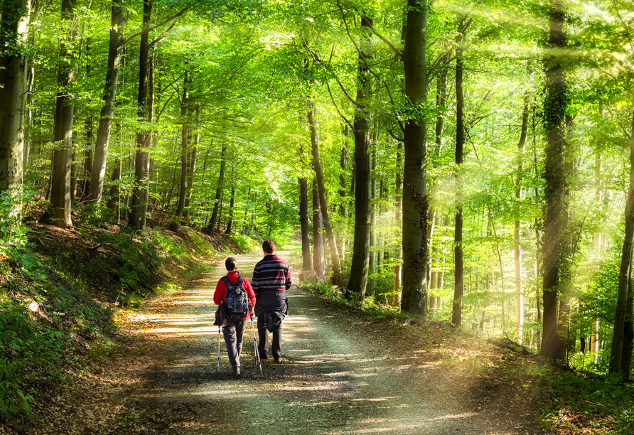 Die Wälder rund um das Hotel laden zum Wandern ein.