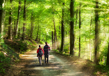 Die Wälder rund um das Hotel laden zum Wandern ein.