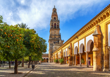 Lassen Sie sich in Córdoba von der maurischen Architektur und dem Duft der Orangenbäume verzaubern!