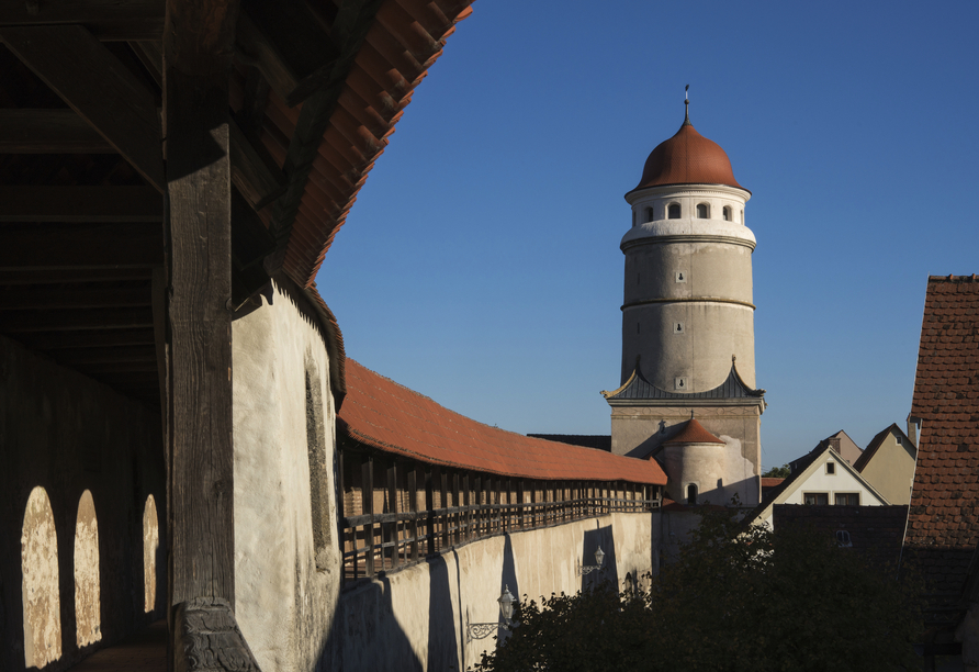 Statten Sie dem Wahrzeichen von Nördlingen einen Besuch ab – der Daniel-Turm der St.-Georgs-Kirche!