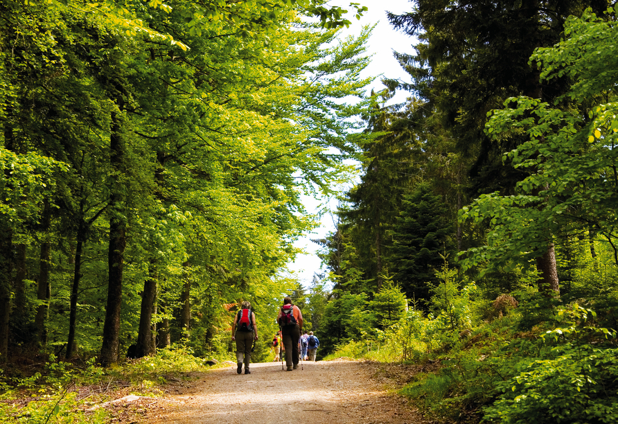 Für Wanderlustige ist der Schwarzwald die ideale Urlaubsregion.