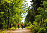 Für Wanderlustige ist der Schwarzwald die ideale Urlaubsregion.