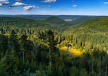 Genießen Sie auf einem der vielen Wanderwege die Aussicht auf den Schwarzwald.