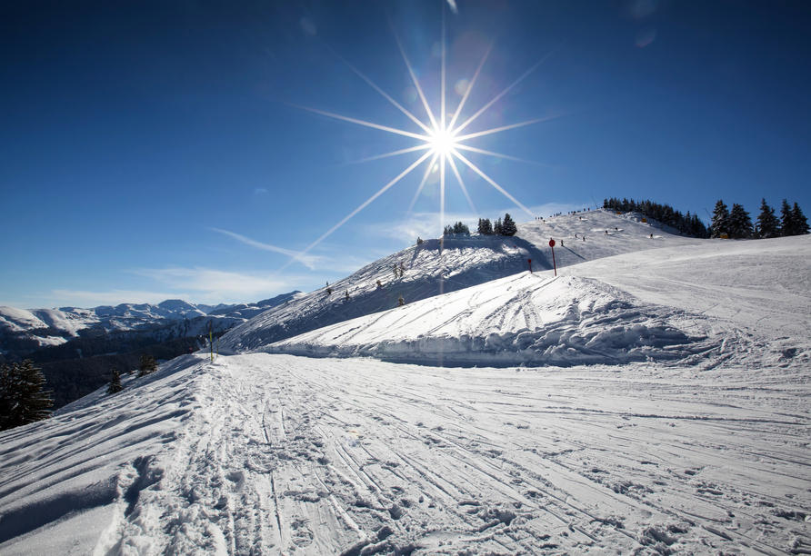 Bestens präparierte Skiloipen erwarten Sie im Winter.