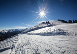 Bestens präparierte Skiloipen erwarten Sie im Winter.