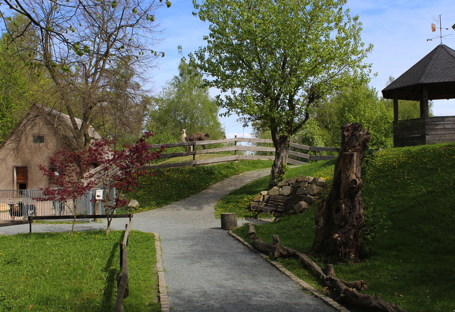 Spazieren Sie durch idyllische Wege und gewinnen Sie faszinierende Einblicke in die Tierwelt.