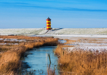Leuchtturm Pilsum im Winter