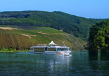 Willkommen an Bord der ARIELLE ROYAL!