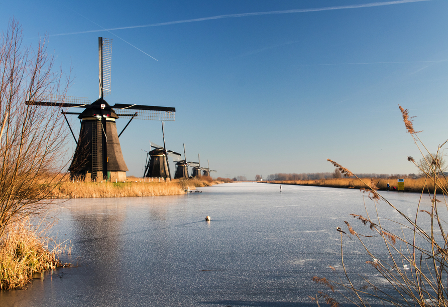 Selbst im Winter sind die historischen Windmühlen in den Niederlanden ein echter Hingucker.