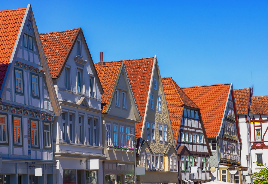 Entdecken Sie die charmante Residenzstadt Detmold.