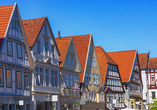 Entdecken Sie die charmante Residenzstadt Detmold.