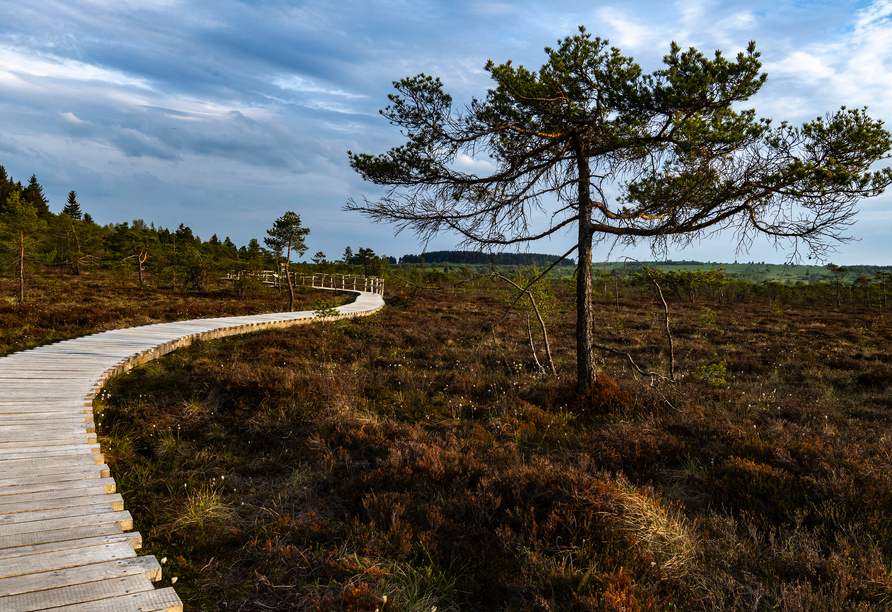 Entdecken Sie das Schwarzes Moor – eines der schönsten Geotope Bayerns