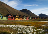 Longyearbyen verzaubert mit seinem ganz eigenen Charme.
