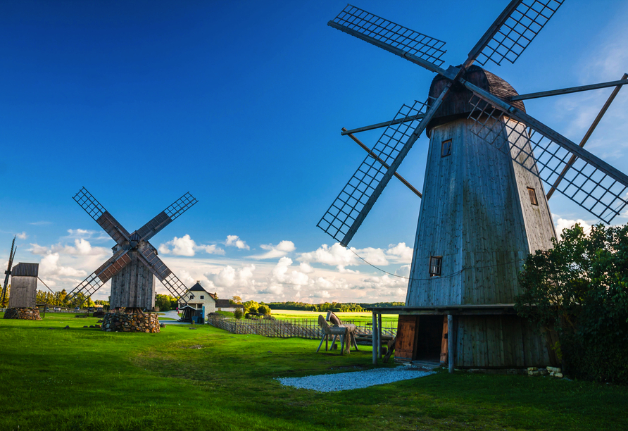 Auf Saaremaa erwarten Sie die ikonischen Angla-Windmühlen – ein Stück lebendiger Geschichte.