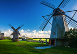 Auf Saaremaa erwarten Sie die ikonischen Angla-Windmühlen – ein Stück lebendiger Geschichte.