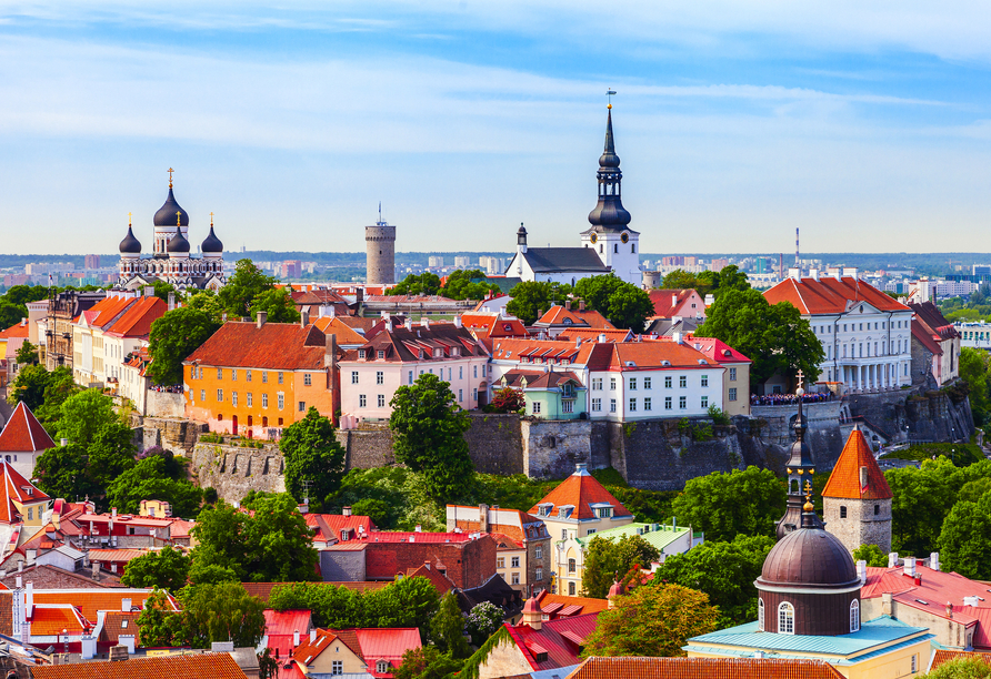 Tauchen Sie bei einer geführten Stadtbesichtigung ein in Tallinns mittelalterliche Altstadt mit ihren verwinkelten Gassen.