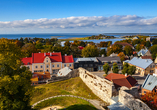 Haapsalu begrüßt Sie als idyllische Küstenstadt Haapsalu mit historischem Charme und einer Brise Ostseeluft.