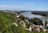 Blick auf Mautern an der Donau