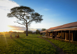 Beispiel einer Lodge im Serengeti Nationalpark