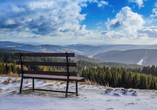 Genießen Sie das verschneite Vogtland bei einer kleinen Wanderung.