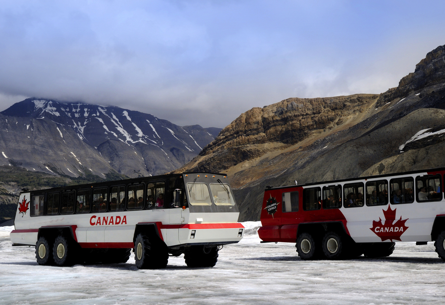 Optional begeben Sie sich mit einem Snow Coach auf Entdeckungstour zum Athabasca Gletscher.