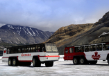 Optional begeben Sie sich mit einem Snow Coach auf Entdeckungstour zum Athabasca Gletscher.