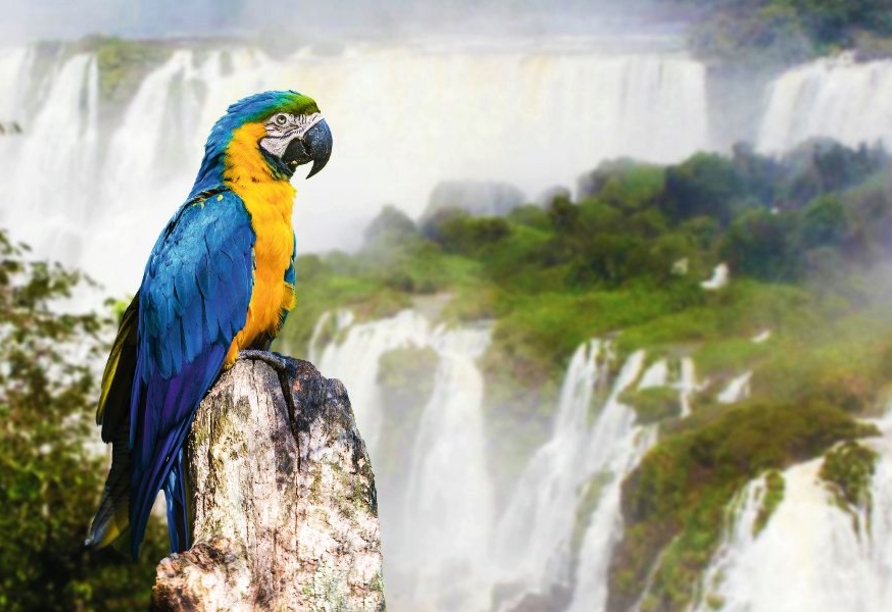 Den großartigen Ausblick auf die Iguazú-Wasserfälle genießt jeder.